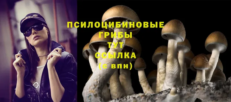 Псилоцибиновые грибы Magic Shrooms  Козловка 